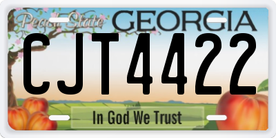 GA license plate CJT4422