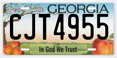GA license plate CJT4955