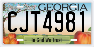 GA license plate CJT4981