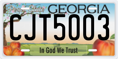 GA license plate CJT5003