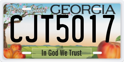 GA license plate CJT5017