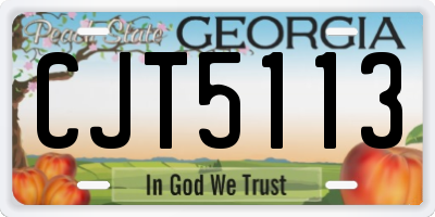 GA license plate CJT5113