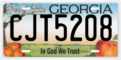 GA license plate CJT5208