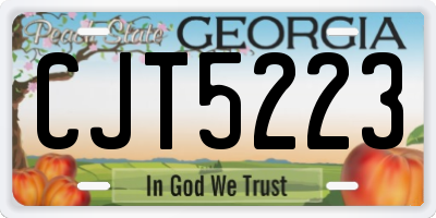 GA license plate CJT5223