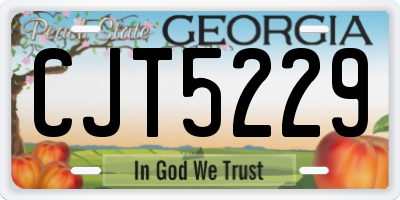 GA license plate CJT5229
