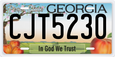 GA license plate CJT5230