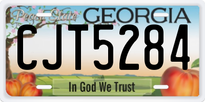 GA license plate CJT5284