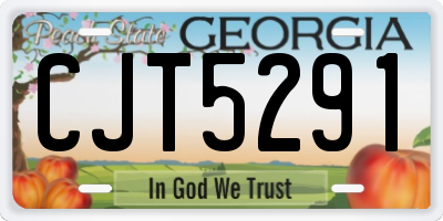 GA license plate CJT5291