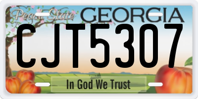 GA license plate CJT5307