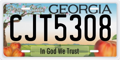 GA license plate CJT5308