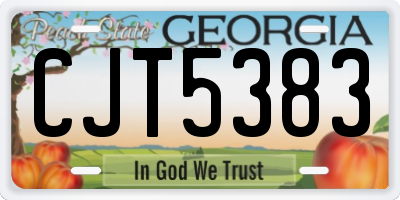 GA license plate CJT5383