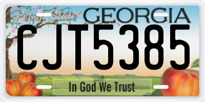 GA license plate CJT5385
