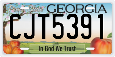 GA license plate CJT5391