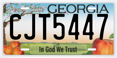GA license plate CJT5447