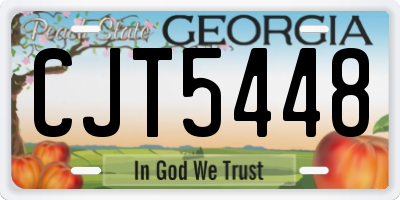 GA license plate CJT5448