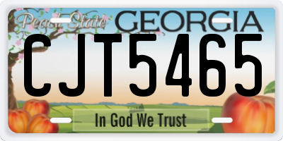 GA license plate CJT5465