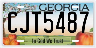 GA license plate CJT5487