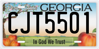 GA license plate CJT5501