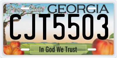 GA license plate CJT5503