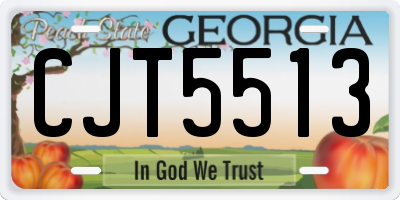 GA license plate CJT5513