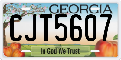 GA license plate CJT5607