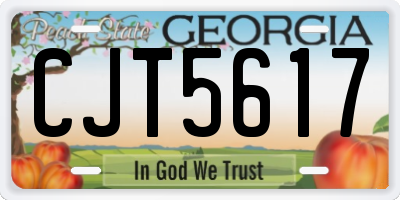 GA license plate CJT5617