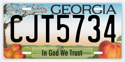 GA license plate CJT5734