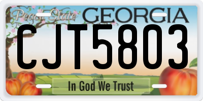 GA license plate CJT5803