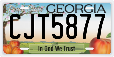 GA license plate CJT5877