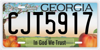 GA license plate CJT5917