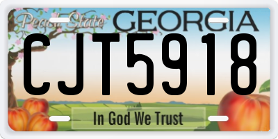GA license plate CJT5918