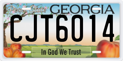 GA license plate CJT6014