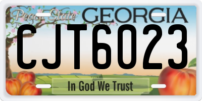 GA license plate CJT6023