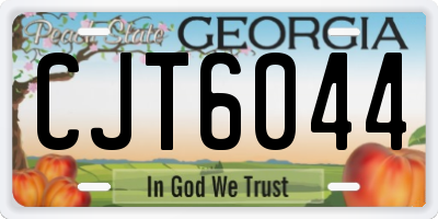 GA license plate CJT6044
