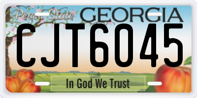 GA license plate CJT6045