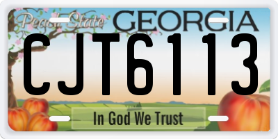 GA license plate CJT6113