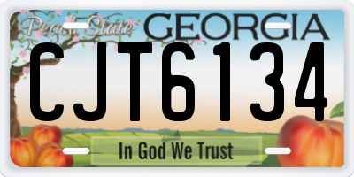 GA license plate CJT6134