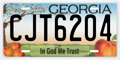 GA license plate CJT6204