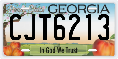 GA license plate CJT6213