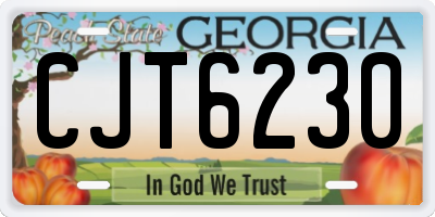 GA license plate CJT6230