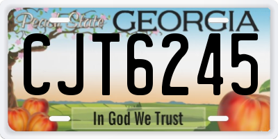 GA license plate CJT6245