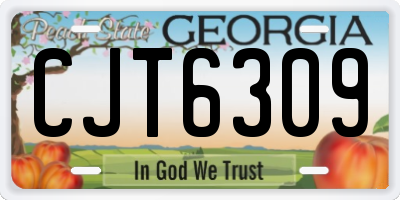 GA license plate CJT6309