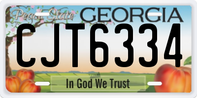 GA license plate CJT6334