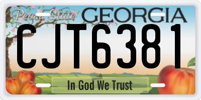 GA license plate CJT6381