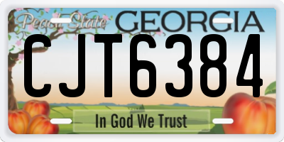 GA license plate CJT6384