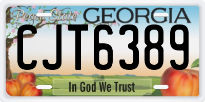 GA license plate CJT6389