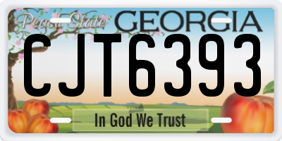 GA license plate CJT6393