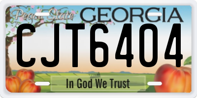 GA license plate CJT6404