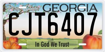 GA license plate CJT6407