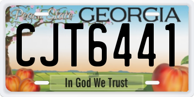 GA license plate CJT6441